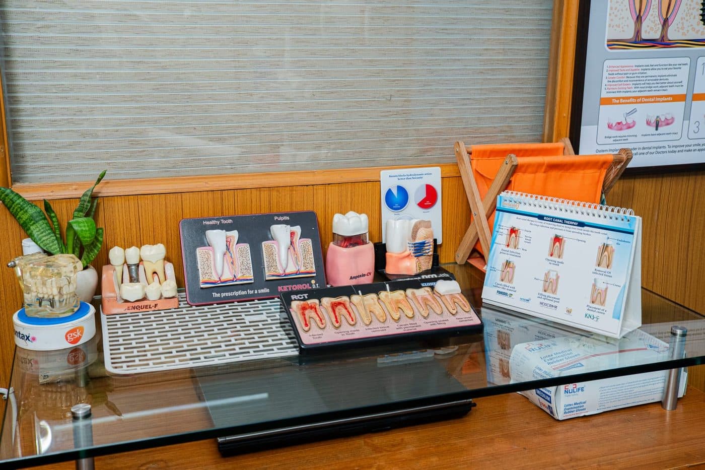 Dental models and charts used to explain treatment options to patients
